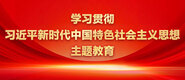 欧美wwwcom免费看片学习贯彻习近平新时代中国特色社会主义思想主题教育_fororder_ad-371X160(2)
